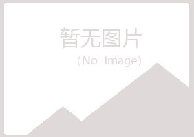 岐山县凌雪咨询有限公司